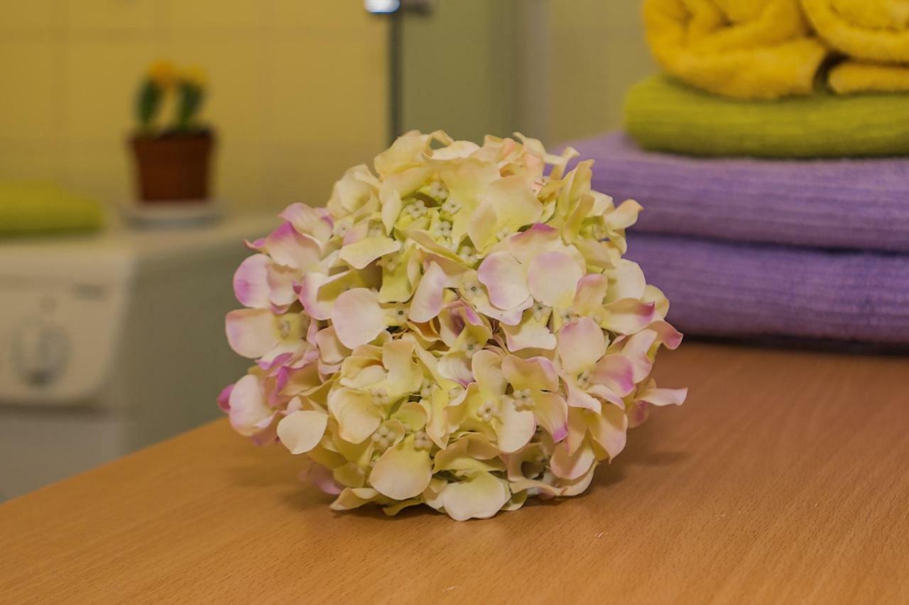 2 Bedroom Apartment/Parking/Market Split Dış mekan fotoğraf